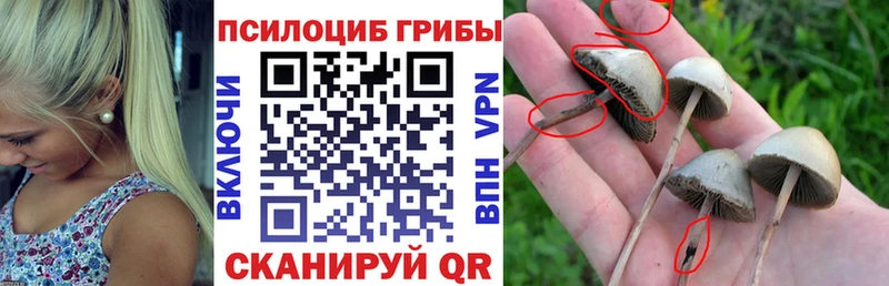 OMG зеркало Ханты-Мансийск Галлюциногенные грибы GOLDEN TEACHER
